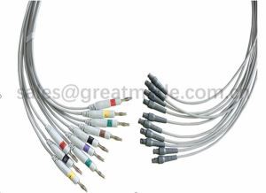Combinable GE CAM Leadwire Universal
