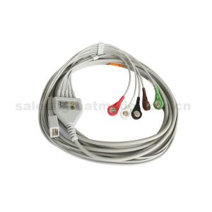 Sesuai dengan MEK MP1000, MP600, MP500, One Piece Kabel Pesakit ECG Dengan 5-Lead Leadwires Snap Untuk Monitor Pesakit.